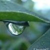 Histoire d'eau