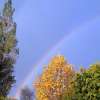 Le cercle se dessine, base couleurs,