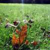 Prendre le temps de rester debout …