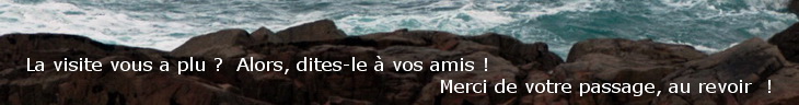 Vague, bas au revoir !